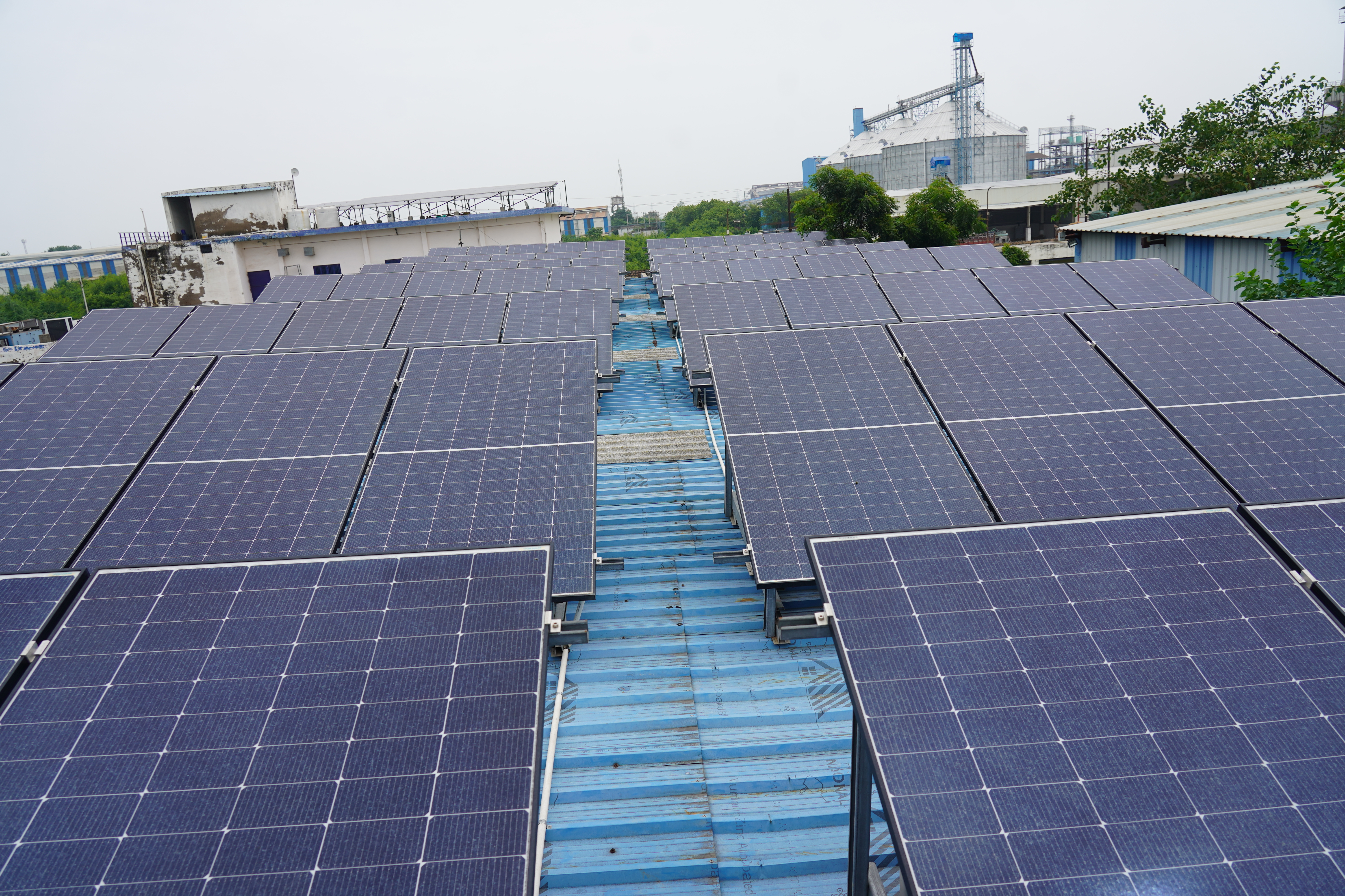 Solar Project